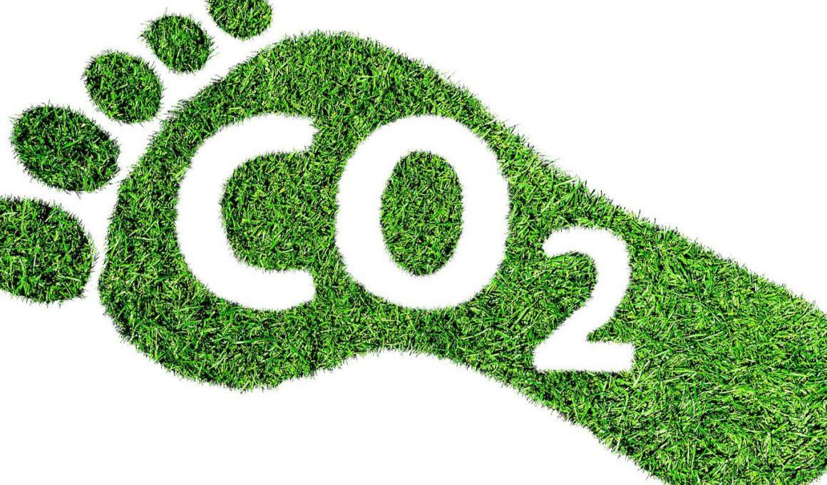 Ce este neutralitatea carbonului