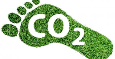Ce este neutralitatea carbonului