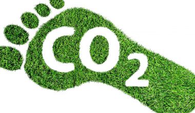 Ce este neutralitatea carbonului