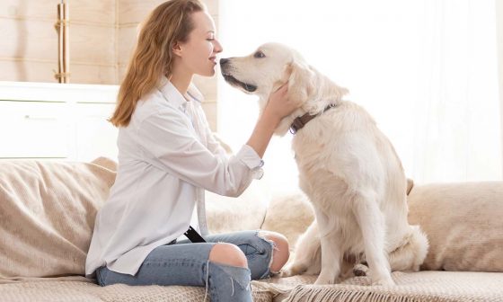 Ce trebuie sa stii despre terapia asistata de animale?