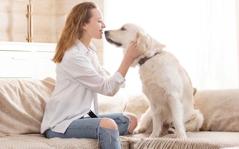 Ce trebuie sa stii despre terapia asistata de animale?