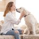 Ce trebuie sa stii despre terapia asistata de animale?