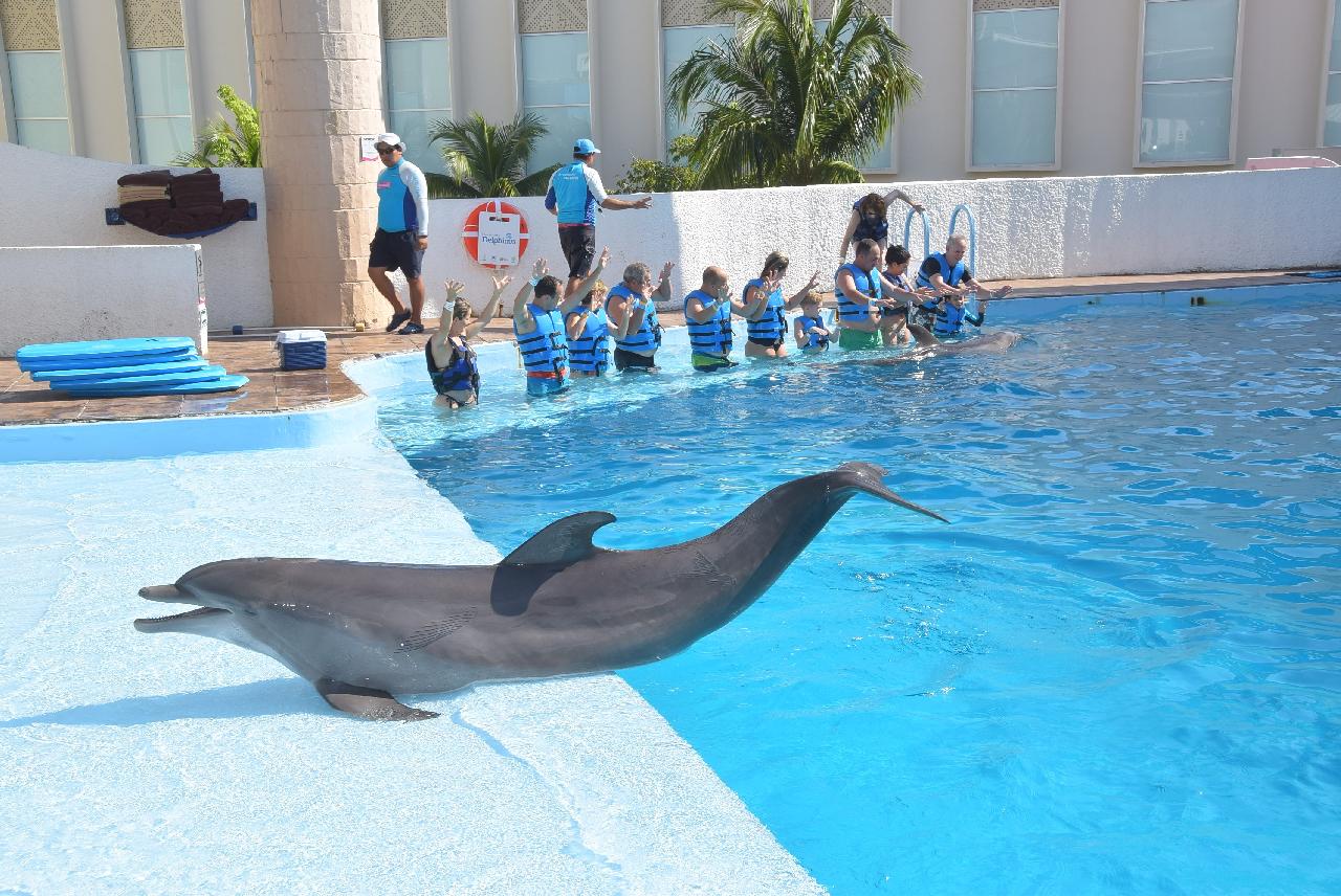 Terapia cu delfinii