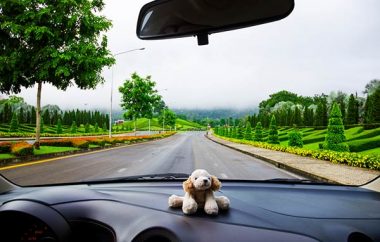 Cate tipuri de parbrize auto exista?