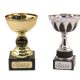 Trofee. Colectia noastra de trofee pentru premiile tale sportive
