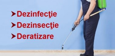 Ce este o deratizare? Cum se face si care sunt avantajele ei?
