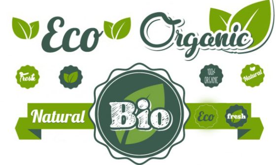 Cum sa faci diferenta intre un produs cosmetic Bio, Eco sau Natural