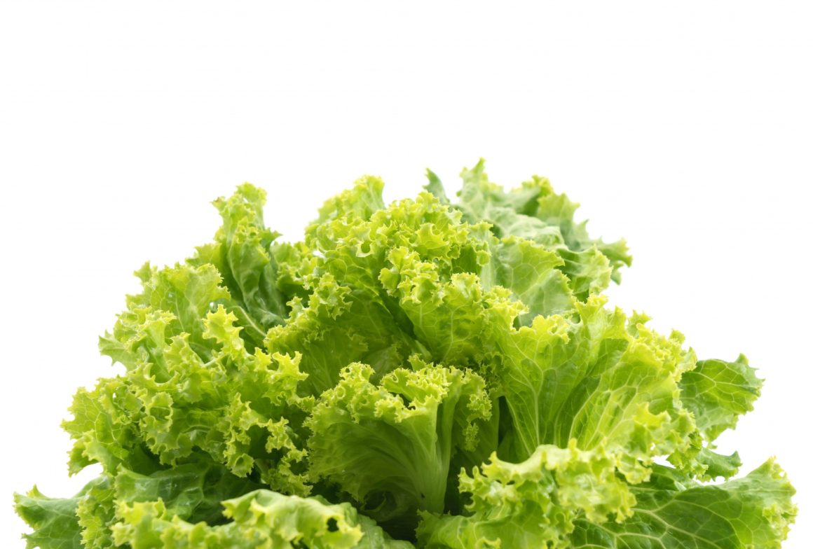 Cum se cultiva salata si care sunt beneficiile ei pentru sanatate
