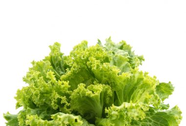 Cum se cultiva salata si care sunt beneficiile ei pentru sanatate