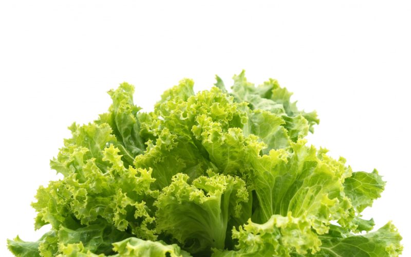 Cum se cultiva salata si care sunt beneficiile ei pentru sanatate