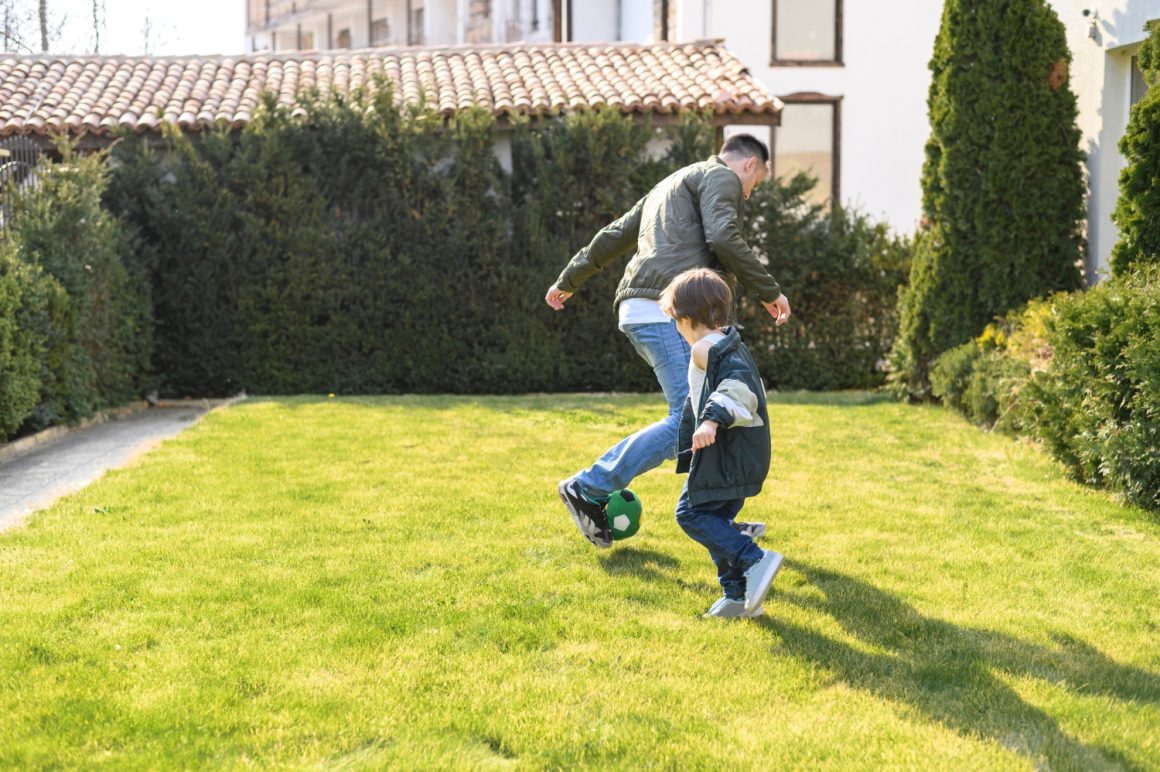 Crearea unui strat protector pentru gazon vara