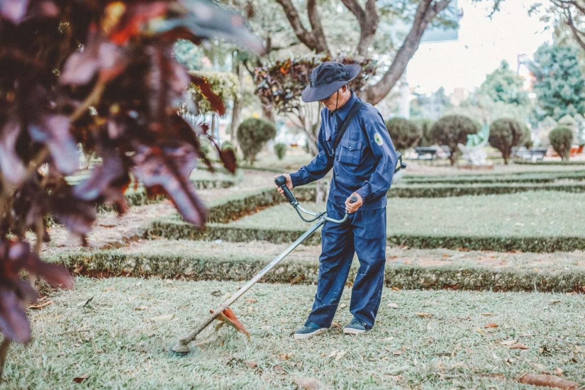 Cum să obții un spațiu verde frumos și sănătos? Descoperă aici de ce instrumente ai nevoie pentru întreținerea și îngrijirea corectă a grădinii tale