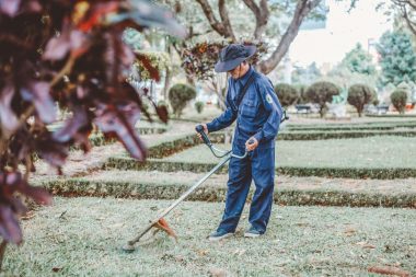 Cum să obții un spațiu verde frumos și sănătos? Descoperă aici de ce instrumente ai nevoie pentru întreținerea și îngrijirea corectă a grădinii tale