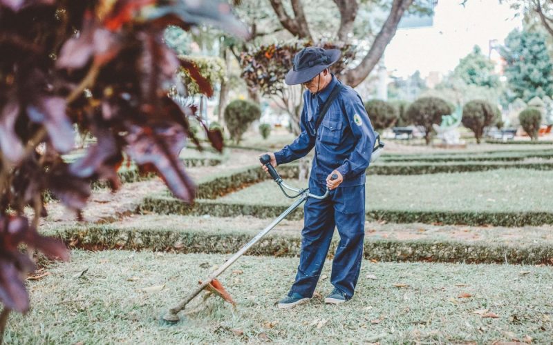 Cum să obții un spațiu verde frumos și sănătos? Descoperă aici de ce instrumente ai nevoie pentru întreținerea și îngrijirea corectă a grădinii tale