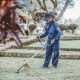 Cum să obții un spațiu verde frumos și sănătos? Descoperă aici de ce instrumente ai nevoie pentru întreținerea și îngrijirea corectă a grădinii tale