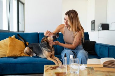 Cateva sfaturi de nutriție pentru câinele tău