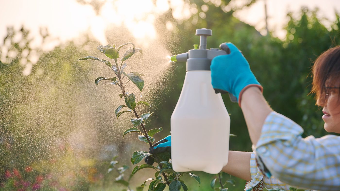 Cum alegi cel mai eficient fungicid pentru cultura ta
