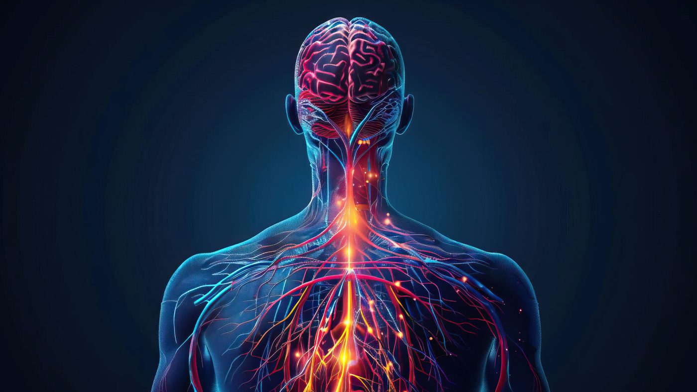 Magneziul și funcționarea corectă a sistemului nervos