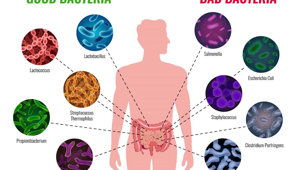 Clostridium difficile