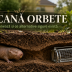 cum scapide orbete