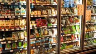 frigo service